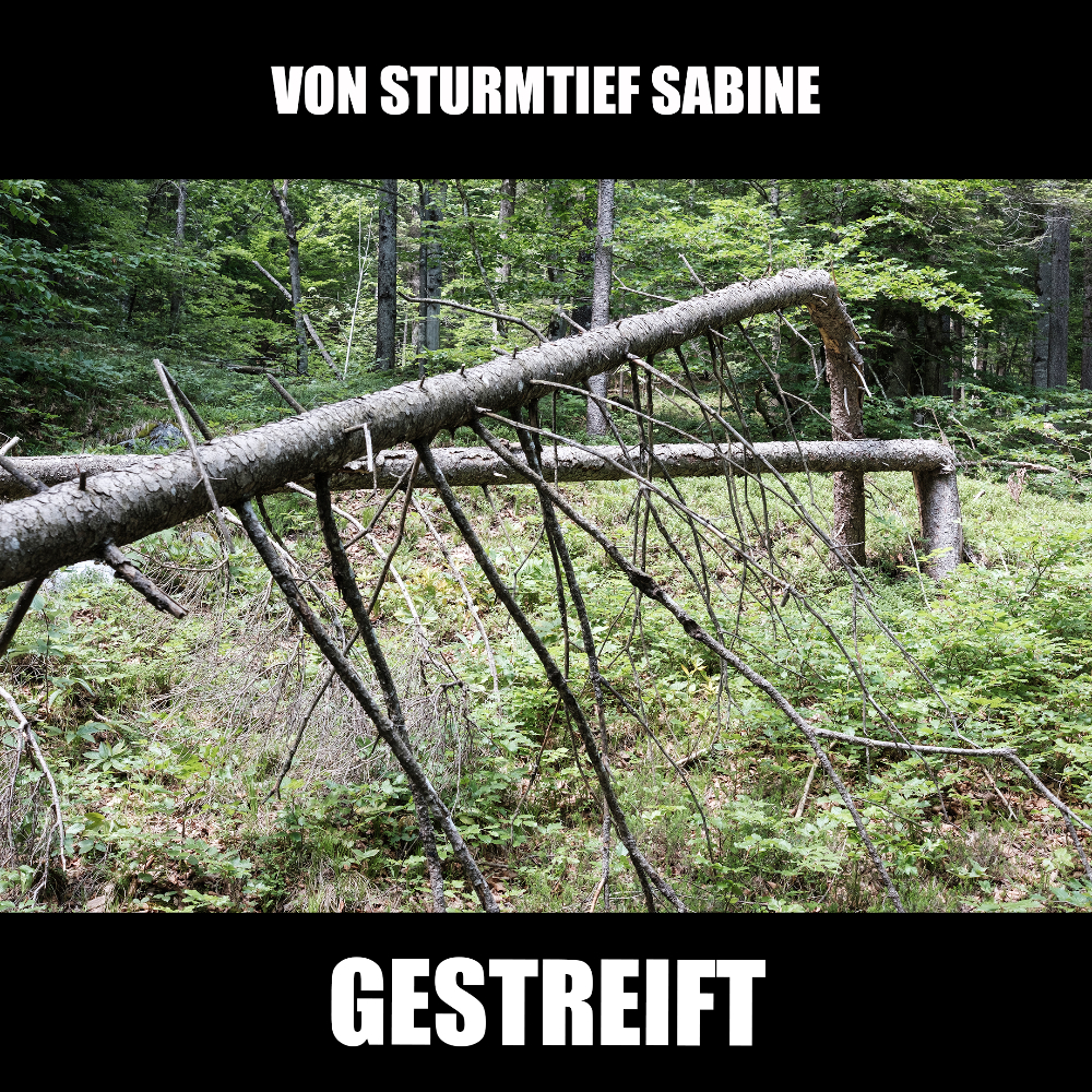 Sturmtief 2