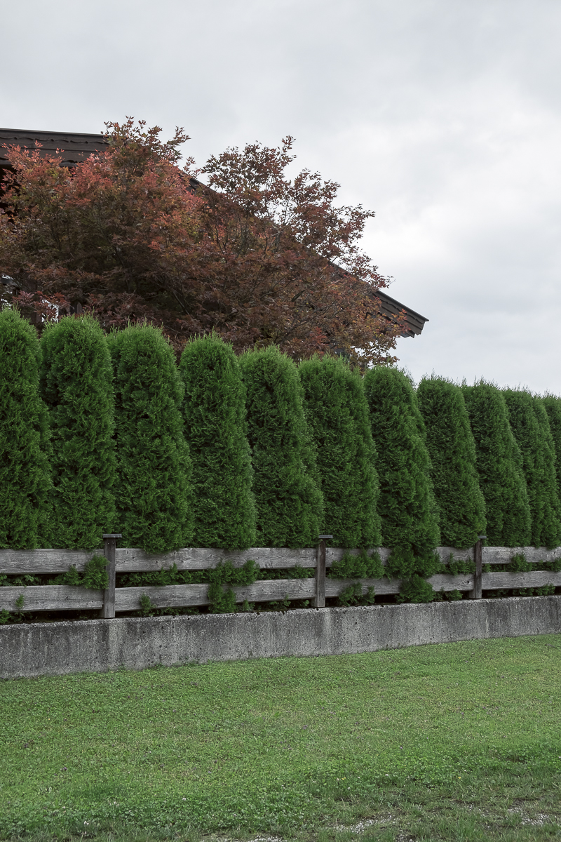 vor fremden blicken #07