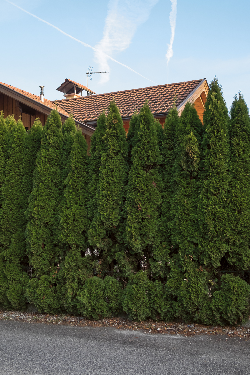 vor fremden blicken #12