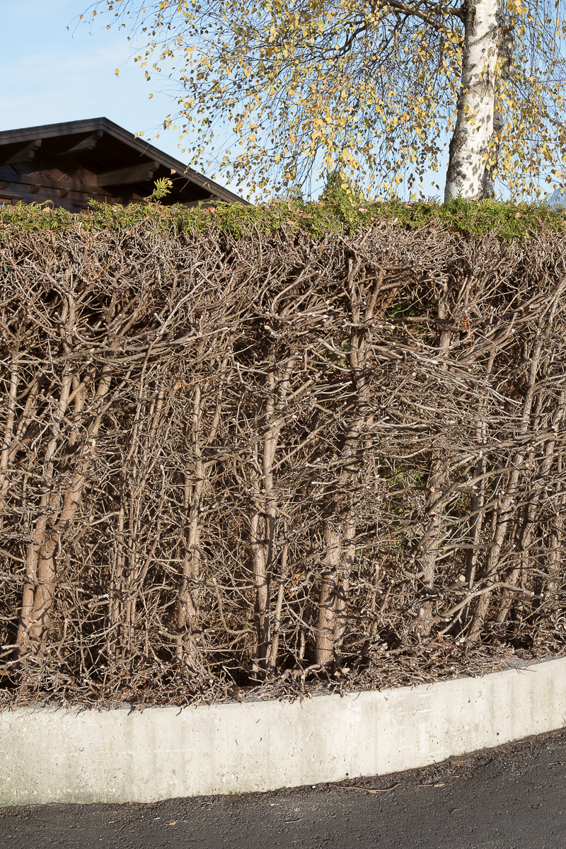 vor fremden blicken #10